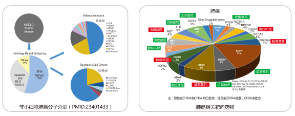 南宫NG28相信品牌的实力网址(中国)官网