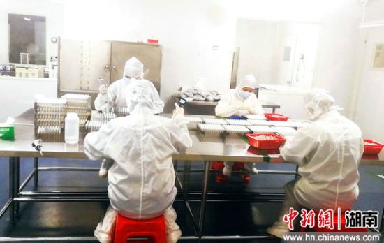 南宫NG28相信品牌的实力网址(中国)官网
