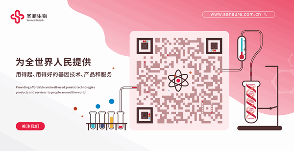 南宫NG28相信品牌的实力网址(中国)官网